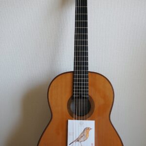 Cordoba C1M Akustik Klasik Gitar